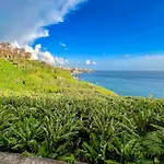 Irene * Funchal (Madeira)
