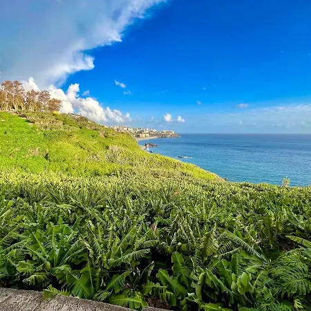 Irene * Funchal (Madeira)